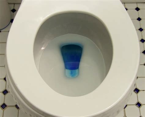 blue dye in toilet test